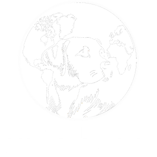 Global Retriever Solutions