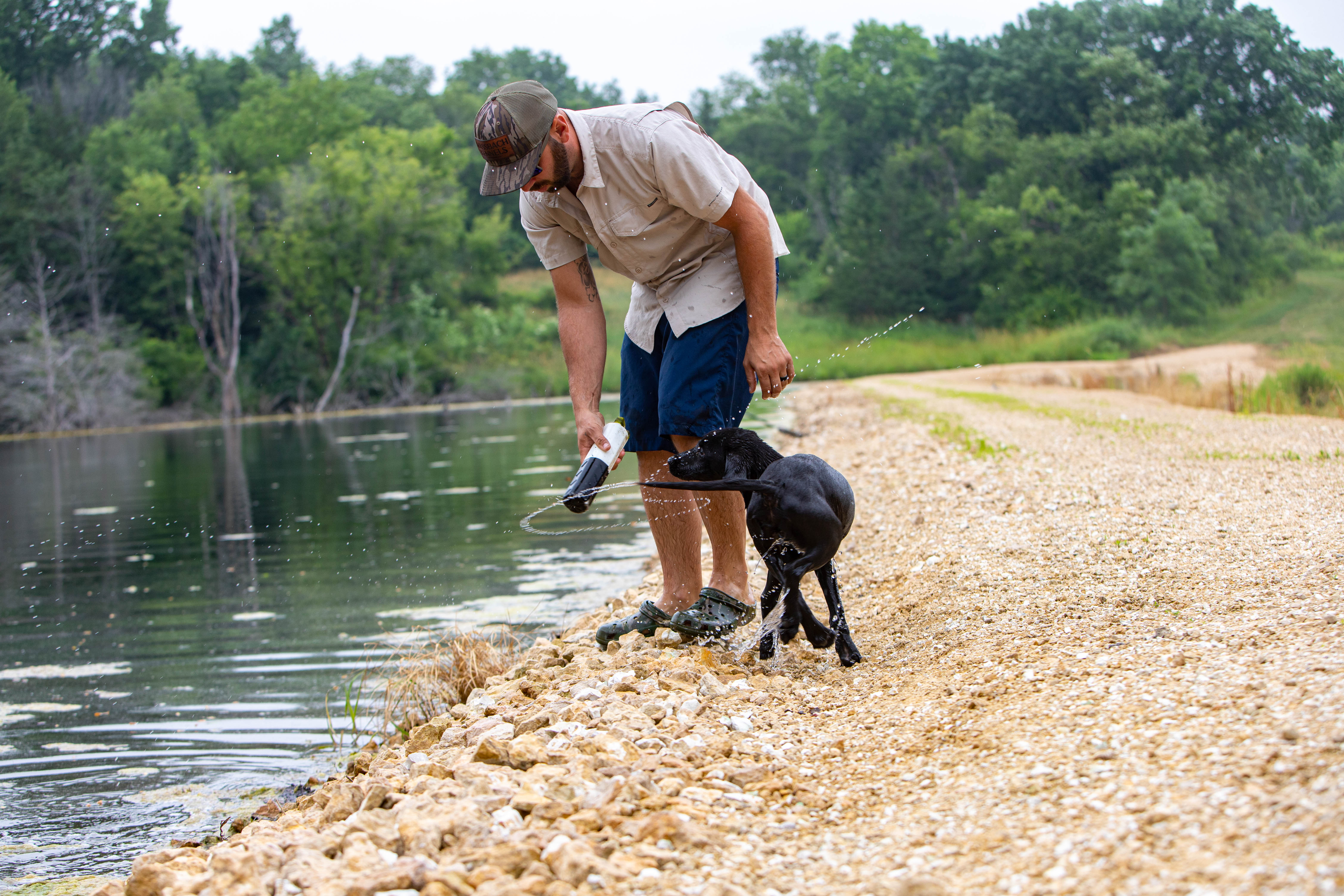 Trainer working a young black Labrador at the water's edge