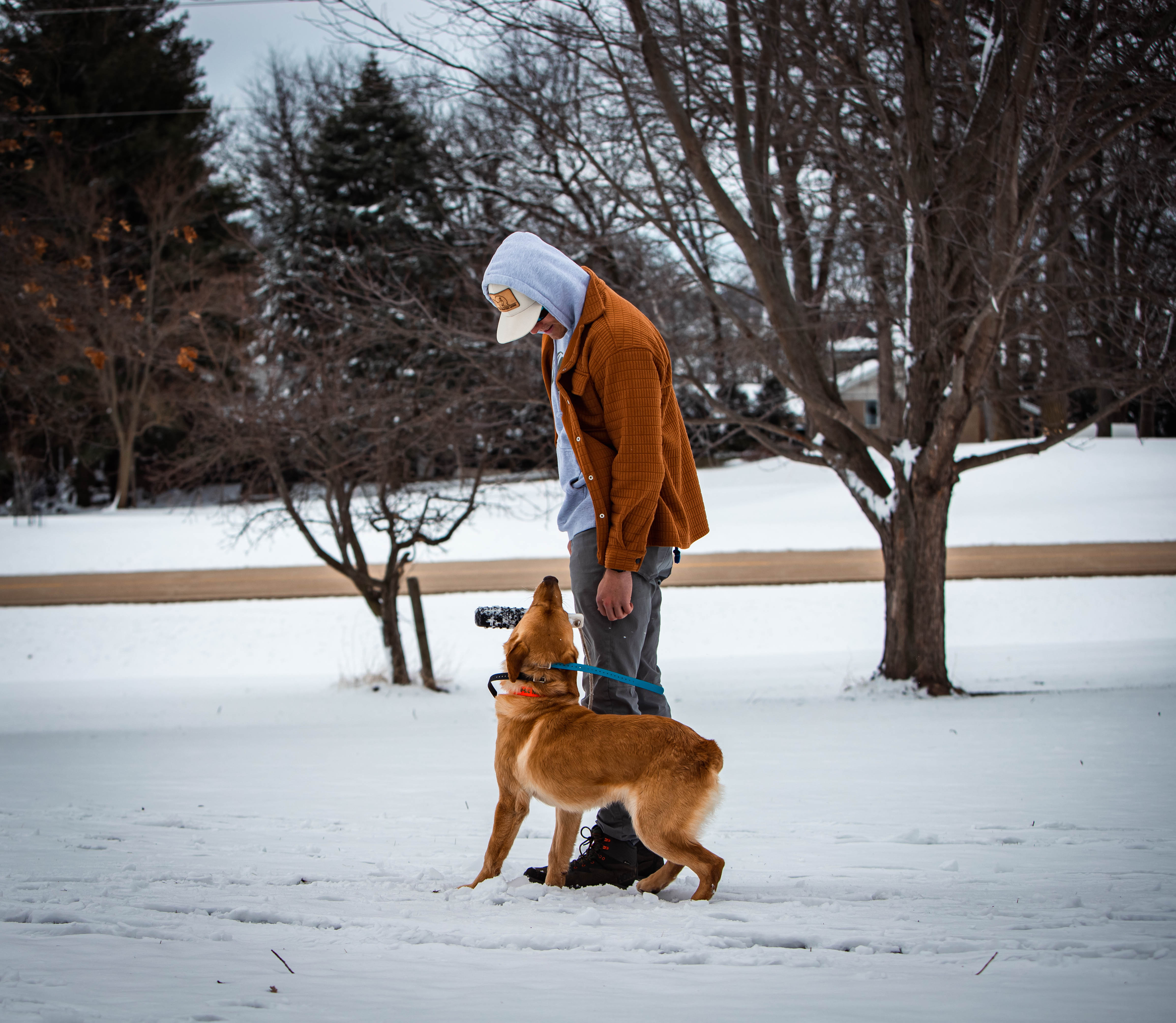Massbach Kennels trainer with a retriever in the snow