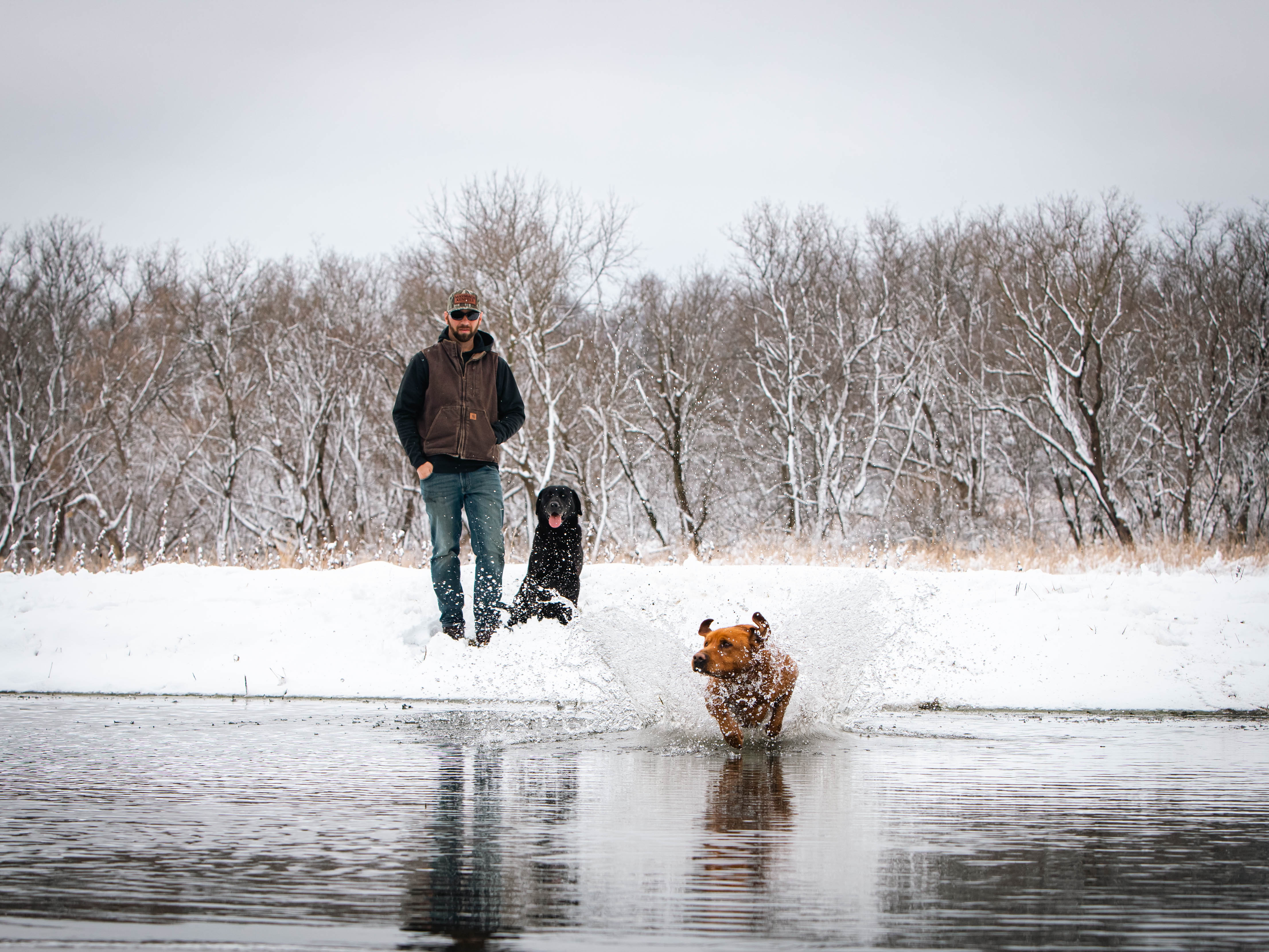 Meet us at Massbach Kennels